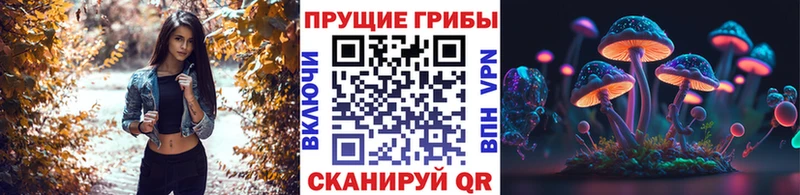 Галлюциногенные грибы мицелий Углич